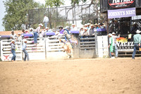 MILLER, LANEDSC_0153.JPG