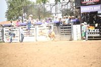 MILLER, LANEDSC_0156.JPG