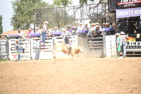 MILLER, LANEDSC_0157.JPG