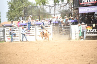 MILLER, LANEDSC_0160.JPG
