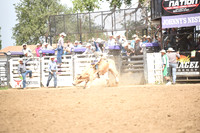 MILLER, LANEDSC_0161.JPG