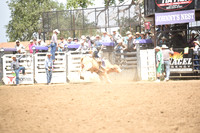 MILLER, LANEDSC_0162.JPG
