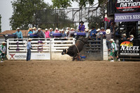 WILSON, GUSDSC_0238.JPG