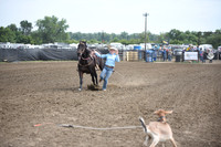 AAMOT, CANDICEDSC_1444.JPG