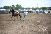 AAMOT, CANDICEDSC_1445.JPG