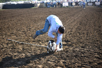 BERNDT, LEVIDSC_0588.JPG