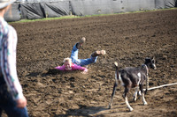 GAIKOWSKI, TAGGARTDSC_0628.JPG