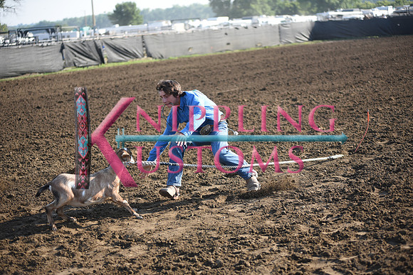 KOAN, TYRELDSC_0525.JPG