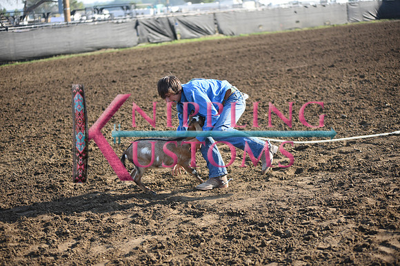 KOAN, TYRELDSC_0526.JPG