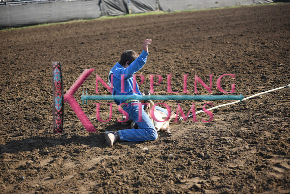 KOAN, TYRELDSC_0529.JPG