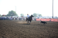 MOUSEL, JACKDSC_0701.JPG