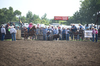 SCHMITZ, LINLEYDSC_0986.JPG