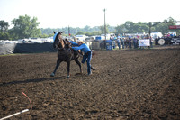 SHELBOURN, COYDSC_0496.JPG