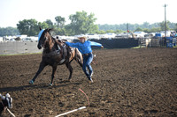 SHELBOURN, COYDSC_0497.JPG