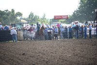 SHELBOURN, STETSONDSC_0800.JPG
