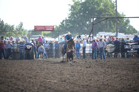 SHELBOURN, STETSONDSC_0801.JPG