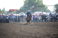 SHELBOURN, STETSONDSC_0802.JPG