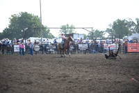 SHEPPICK, RYENDSC_0930.JPG