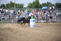 WILKING, DESTRYDSC_1592.JPG