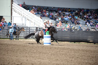 WILKING, DESTRYDSC_1593.JPG