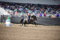 WILKING, DESTRYDSC_1594.JPG