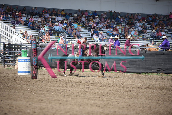 WILKING, DESTRYDSC_1594.JPG