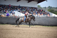 WILKING, DESTRYDSC_1595.JPG
