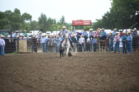 BERGLUND, TACEDSC_3787.JPG