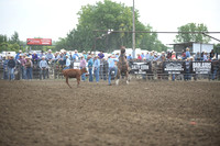 BRUNS, ROYCEDSC_3733.JPG