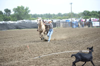CAMMACK, CAPRIDSC_4536.JPG