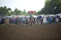 HARTSHORN, TREVORDSC_3511.JPG