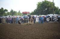 HARTSHORN, TREVORDSC_3512.JPG