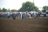 HARTSHORN, TREVORDSC_3515.JPG