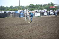 HUSTED, CARLYDSC_4226.JPG