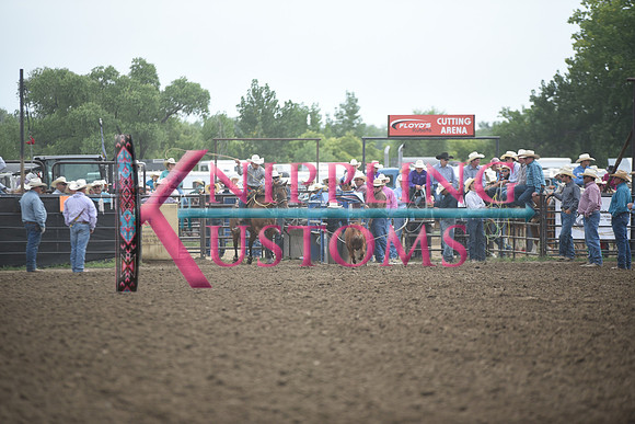 JONES, STETSONDSC_3790.JPG
