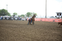 JONES, STETSONDSC_3798.JPG