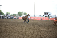 JONES, STETSONDSC_3799.JPG