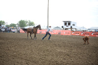 JONES, STETSONDSC_3800.JPG