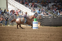 KNIPPLING, RYATTDSC_4624.JPG