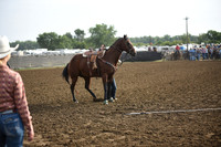 LAMMERS, REODSC_3273.JPG