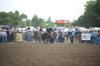 MERRILL, TDSC_3952.JPG