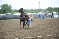 SCHACK, RAMEYDSC_4507.JPG