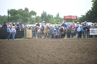 SELBY, SHADADSC_3931.JPG