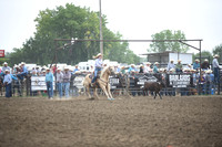 SELBY, SHADADSC_3934.JPG