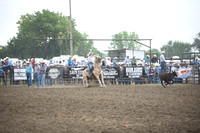 SELBY, SHADADSC_3935.JPG