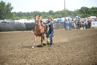 STEPHENS, JERSEYDSC_4260.JPG