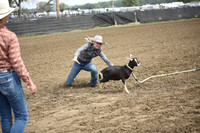 STEPHENS, JERSEYDSC_4264.JPG