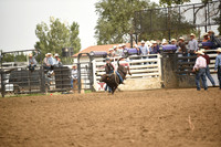 BRACHA, LEDOUXDSC_4658.JPG