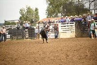 BRACHA, LEDOUXDSC_4664.JPG