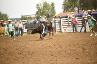 BRACHA, LEDOUXDSC_4667.JPG